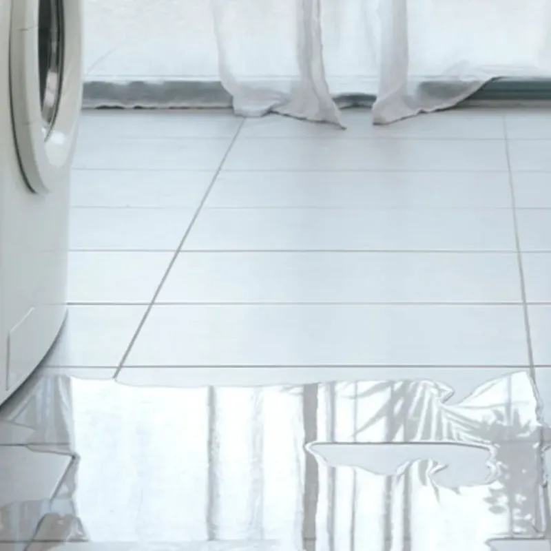 Appliance Leak Cleanup in WaKeeney, KS