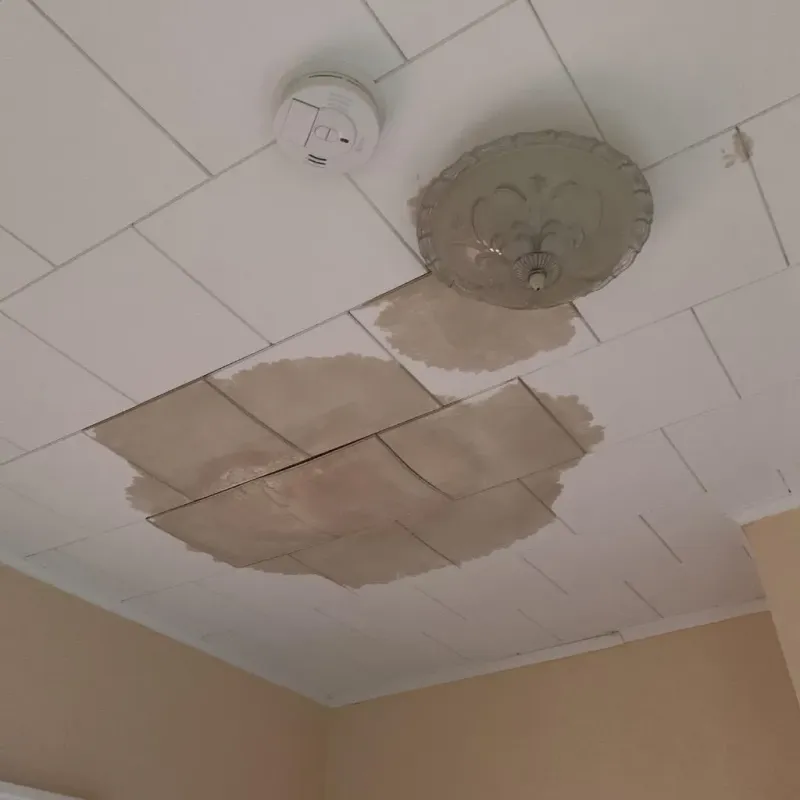Ceiling Water Damage Repair in WaKeeney, KS