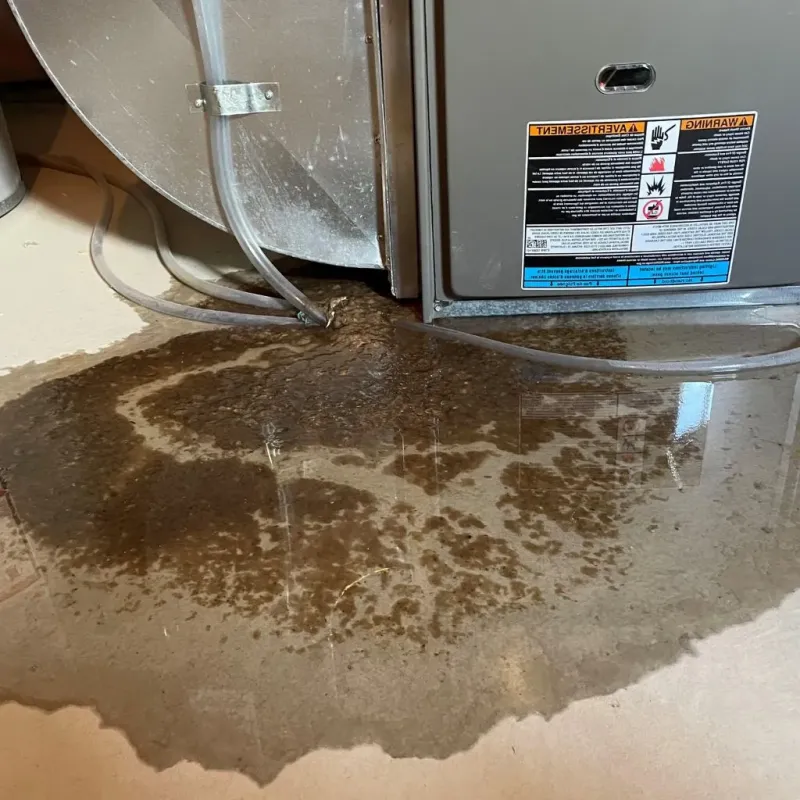 Pipe Burst and Leak Restoration in WaKeeney, KS
