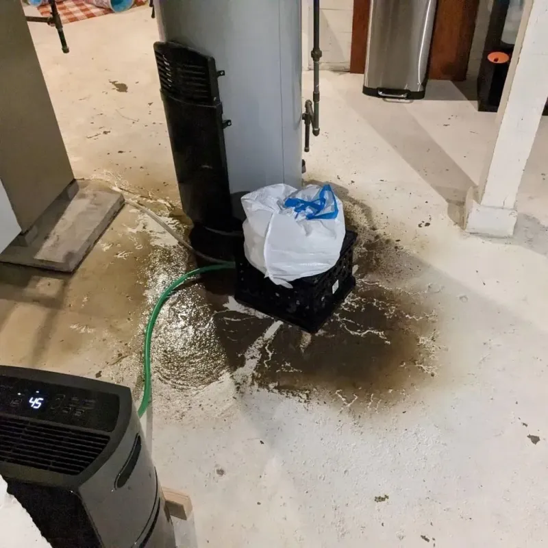 Sewage Backup Cleanup Service in WaKeeney, KS